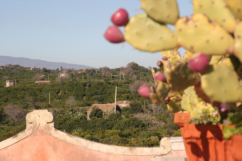 Villa Dei Leoni Santa Tecla Bagian luar foto