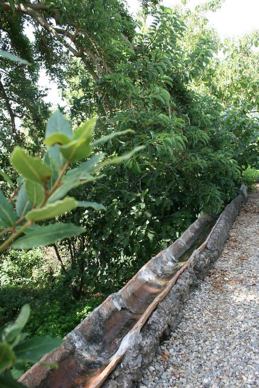 Villa Dei Leoni Santa Tecla Bagian luar foto